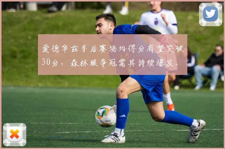 爱德华兹季后赛场均得分有望突破30分，森林狼争冠需其持续爆发。